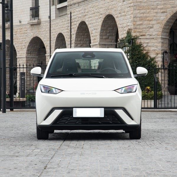 Byd Seagull Electric Flying Edition New