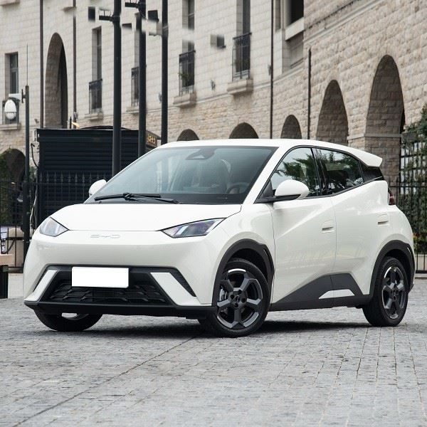 Byd Seagull Electric Flying Edition New