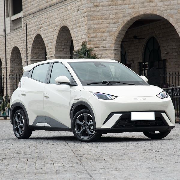 BYD Seagull Electric Flying Edition Uus